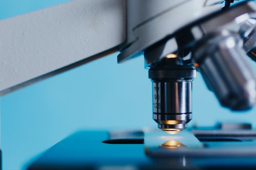 Clicca per accedere all'articolo Riviste scientifiche